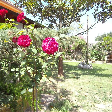 Hosteria Las Fuentes Rubayo Exterior photo